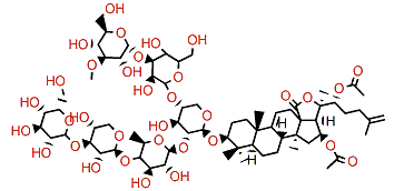 Cladoloside P